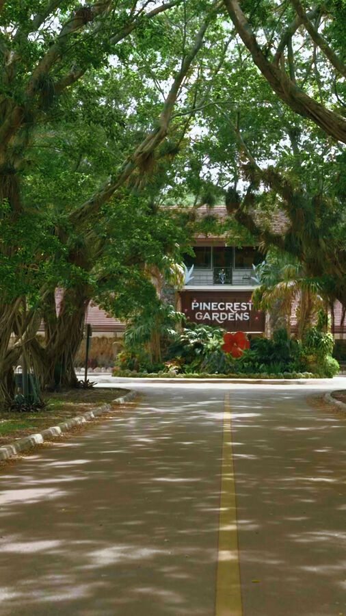 Pinecrest
